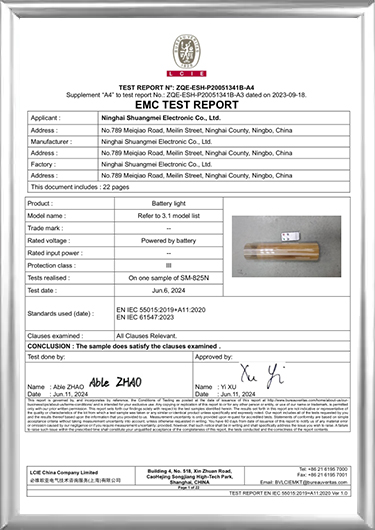 EMC Testis